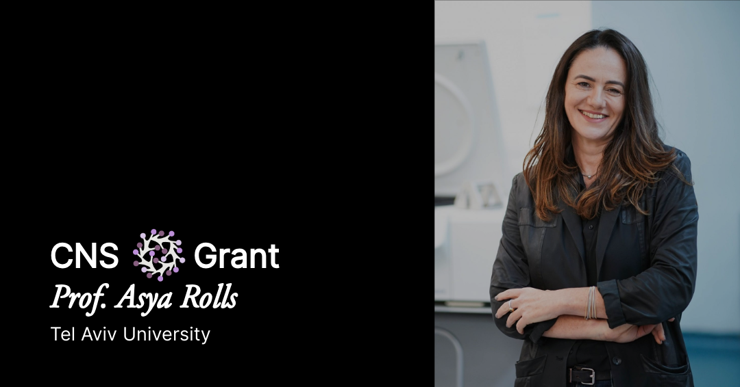 Corundum Neuroscience Awards Research Grant to Identify Brain Regions for Immunity Neuromodulation